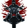 Wild Biker